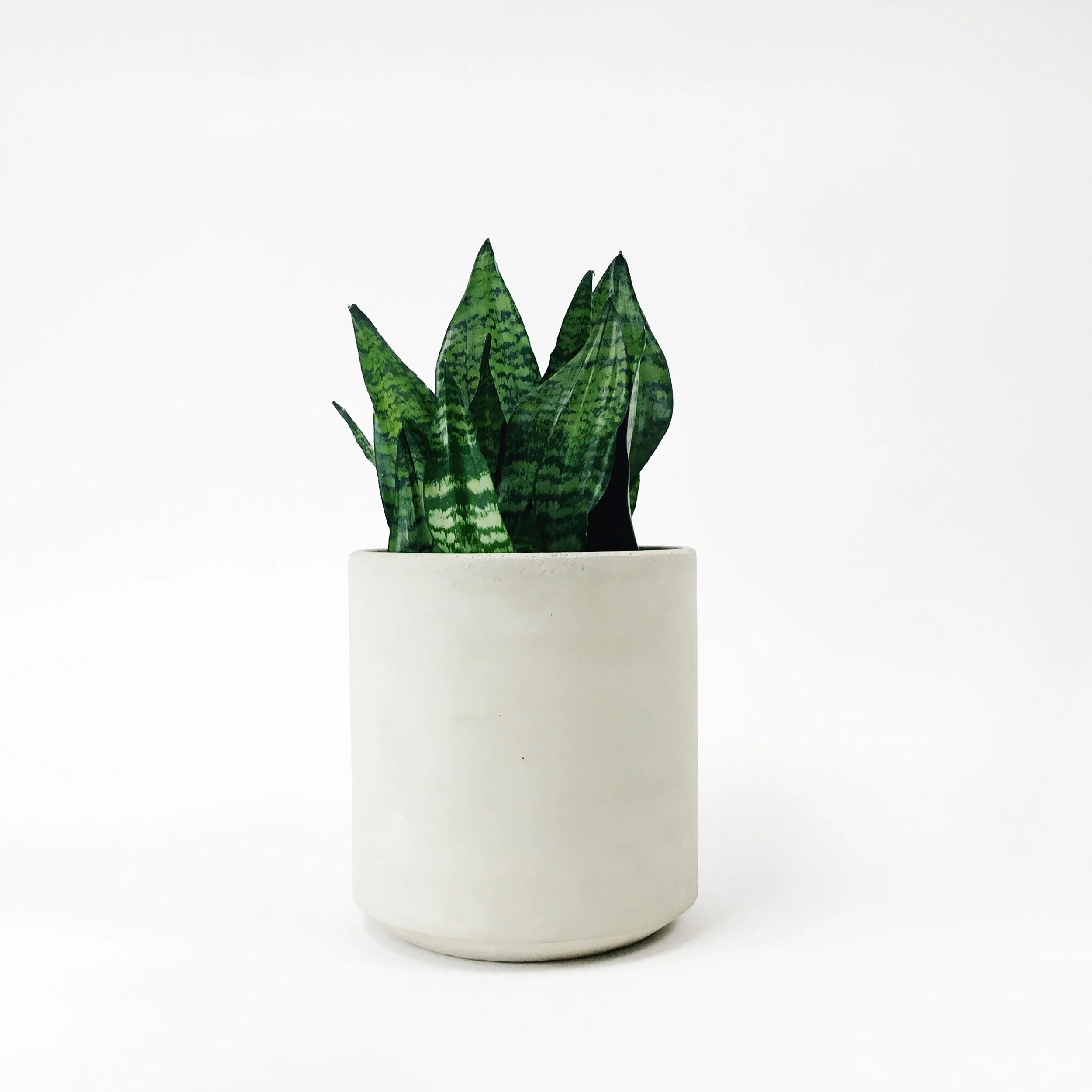 Straight Sided Pots / White — SETTLEWELL | Modern Planters and